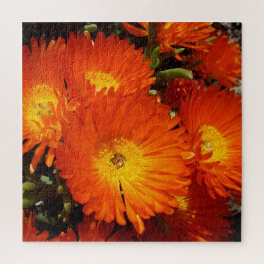 Giant Orange Daisies, Puzzle (Vertikal)