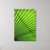 Giant Palm Leaf Pattern Leinwanddruck (Vorderseite)