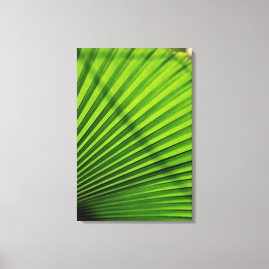 Giant Palm Leaf Pattern Leinwanddruck (Vorderseite)