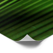 Giant Palm Leaf Pattern Poster (Ecke)