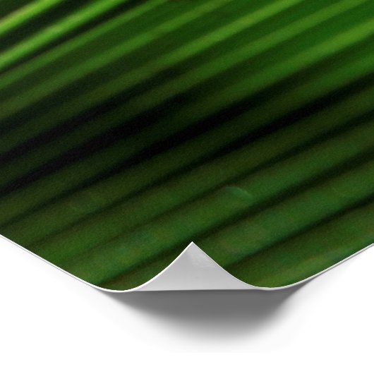 Giant Palm Leaf Pattern Poster (Ecke)