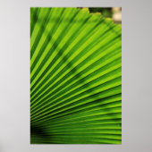 Giant Palm Leaf Pattern Poster (Vorne)