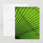 Giant Palm Leaf Pattern Postkarte (Vorne/Hinten)