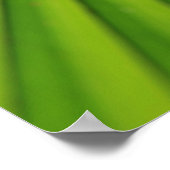 Giant Palm Leaf, Queensland Poster (Ecke)