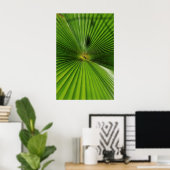 Giant Palm Leaf, Queensland Poster (Heimbüro)
