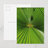 Giant Palm Leaf, Queensland Postkarte (Vorne/Hinten)