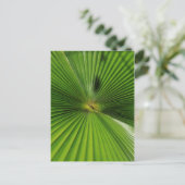 Giant Palm Leaf, Queensland Postkarte (Stehend Vorderseite)
