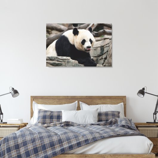 Giant Panda auf Steinen Leinwanddruck (Insitu (Schlafzimmer))