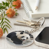 Giant Panda auf Steinen Schlüsselanhänger (Vorderseite rechts)