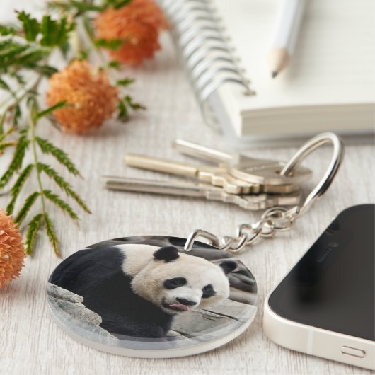 Giant Panda auf Steinen Schlüsselanhänger (Vorderseite rechts)