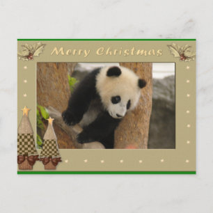 Giant Panda Bear & Baby Panda Christmas Card Feiertagspostkarte