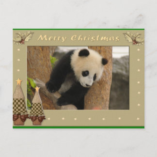 Giant Panda Bear & Baby Panda Christmas Card Feiertagspostkarte