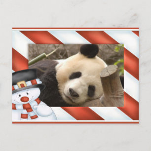 Giant Panda Bear & Baby Panda Christmas Card Feiertagspostkarte