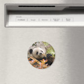 Giant Panda Bear & Baby Panda Magnet (In Situ (Geschirrspüler))