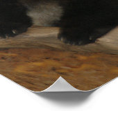 Giant Panda Bear & Baby Panda Poster (Ecke)