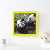 Giant Panda Bears Playing & Bamboo Eating (lustig) Quadratische Wanduhr (Zuhause)