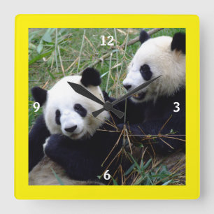 Giant Panda Bears Playing & Bamboo Eating (lustig) Quadratische Wanduhr