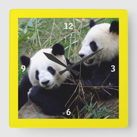 Giant Panda Bears Playing & Bamboo Eating (lustig) Quadratische Wanduhr (Vorderseite)
