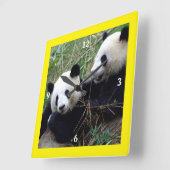 Giant Panda Bears Playing & Bamboo Eating (lustig) Quadratische Wanduhr (Winkel)