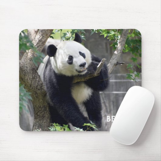 Giant Panda Bei Mousepad (Mit Mouse)
