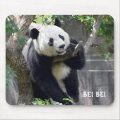 Giant Panda Bei Mousepad (Vorne)