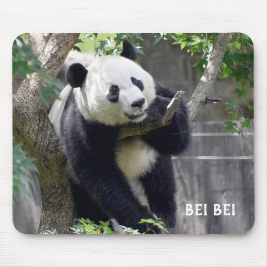 Giant Panda Bei Mousepad (Vorne)