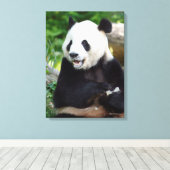 Giant Panda Eating Bamboo Leinwanddruck (Insitu (Holzboden))