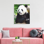 Giant Panda Eating Bamboo Leinwanddruck (Insitu (Wohnzimmer))