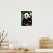 Giant Panda Eating Bamboo Poster (Küche)
