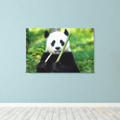 Giant Panda Holding Bamboo Leinwanddruck (Insitu (Holzboden))