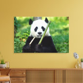 Giant Panda Holding Bamboo Leinwanddruck (Insitu (Wohnzimmer))