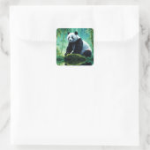 Giant Panda im Bamboo-Wald Quadratischer Aufkleber (Tasche)