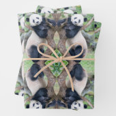 Giant Panda in einem Baumhüpfpapier Geschenkpapier Set (Beispiel)