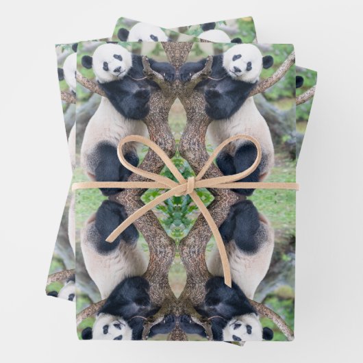 Giant Panda in einem Baumhüpfpapier Geschenkpapier Set (Beispiel)