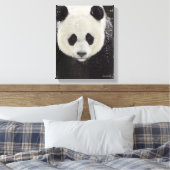 Giant Panda in Snow Leinwanddruck (Insitu (Schlafzimmer))