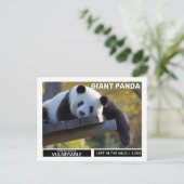 Giant Panda ist gefährdete Arten Feiertagspostkarte (Stehend Vorderseite)