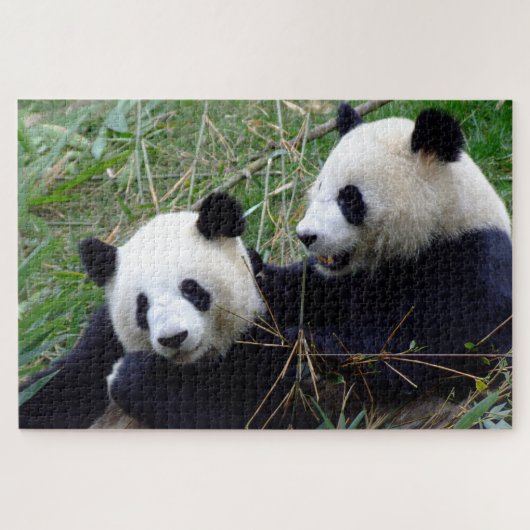 Giant Panda - Liebe & Bambus / China Bears Puzzle (Horizontal)