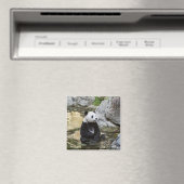Giant Panda Magnet (In Situ (Geschirrspüler))