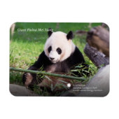 Giant Panda Mei Xiang Magnet (Horizontal)
