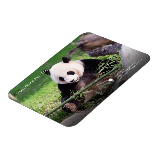 Giant Panda Mei Xiang Magnet (Linke Seite)