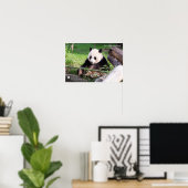 Giant Panda Mei Xiang Poster (Heimbüro)