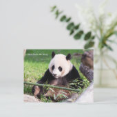 Giant Panda Mei Xiang Postkarte (Stehend Vorderseite)