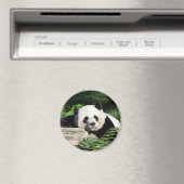 Giant Panda Napping Magnet (In Situ (Geschirrspüler))