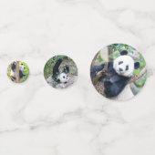 Giant Panda Pics Confetti Konfetti (Vorderseiten)