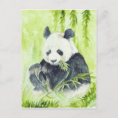 Giant Panda Postcard Postkarte (Vorderseite)
