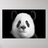 Giant Panda Poster (Vorne)