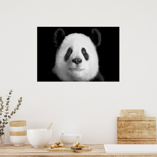 Giant Panda Poster (Küche)