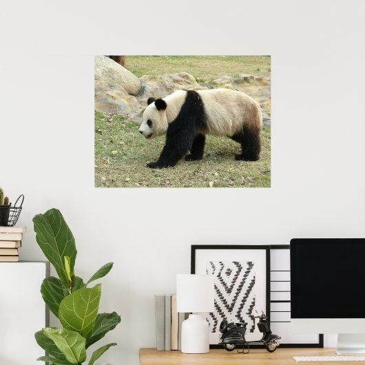 Giant Panda Poster (Heimbüro)