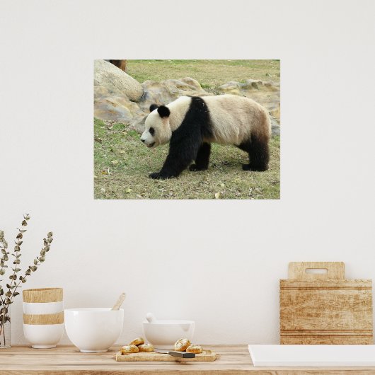 Giant Panda Poster (Küche)
