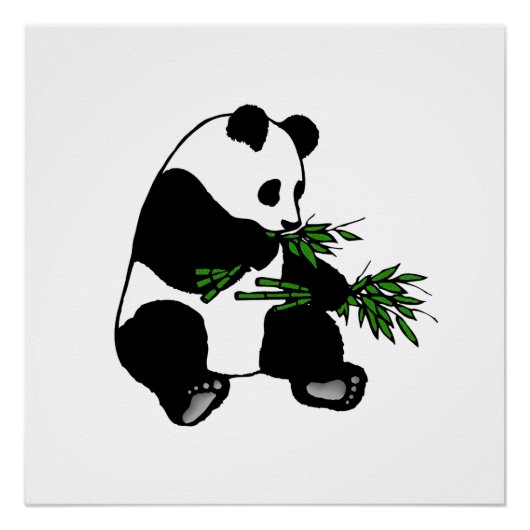 Giant Panda Poster (Vorderseite)